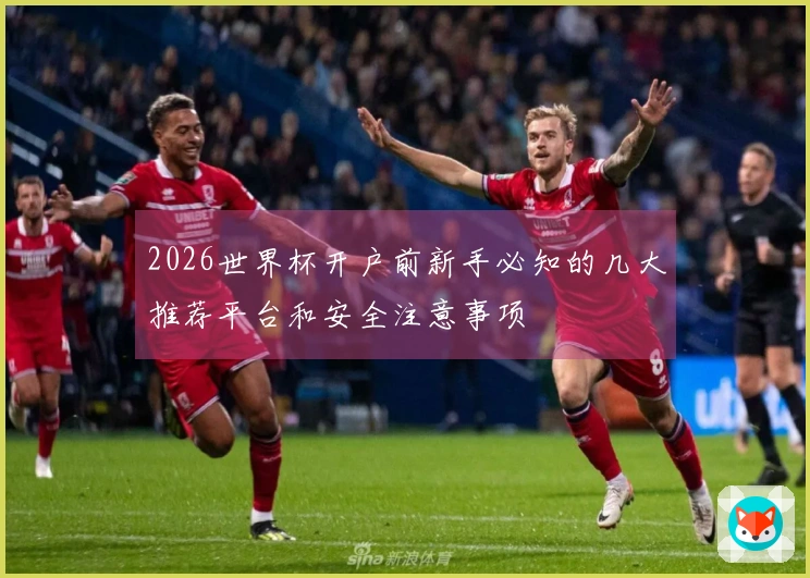 2026世界杯开户前新手必知的几大推荐平台和安全注意事项