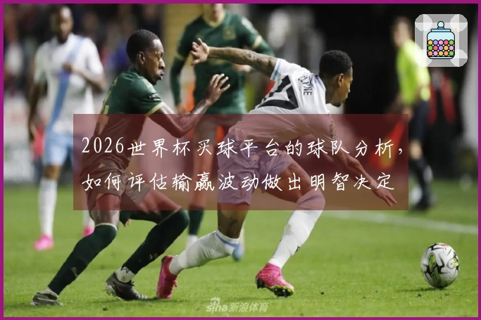 2026世界杯买球平台的球队分析，如何评估输赢波动做出明智决定