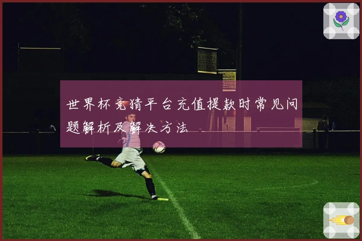 世界杯竞猜平台充值提款时常见问题解析及解决方法