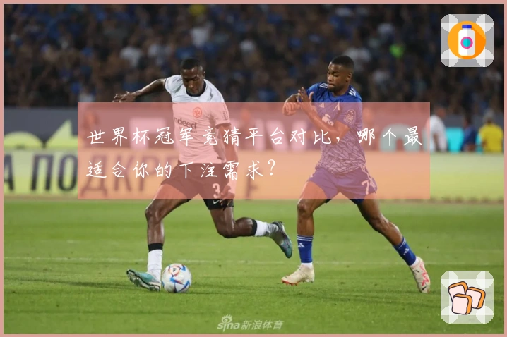 世界杯冠军竞猜平台对比，哪个最适合你的下注需求？