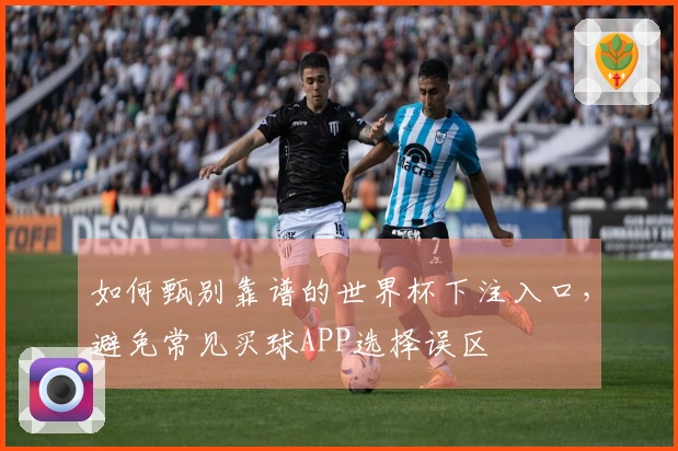 如何甄别靠谱的世界杯下注入口,避免常见买球APP选择误区