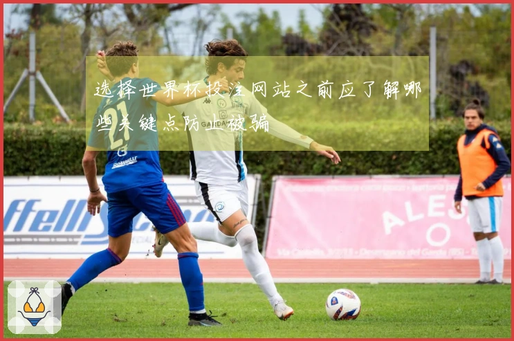 选择世界杯投注网站之前应了解哪些关键点防止被骗