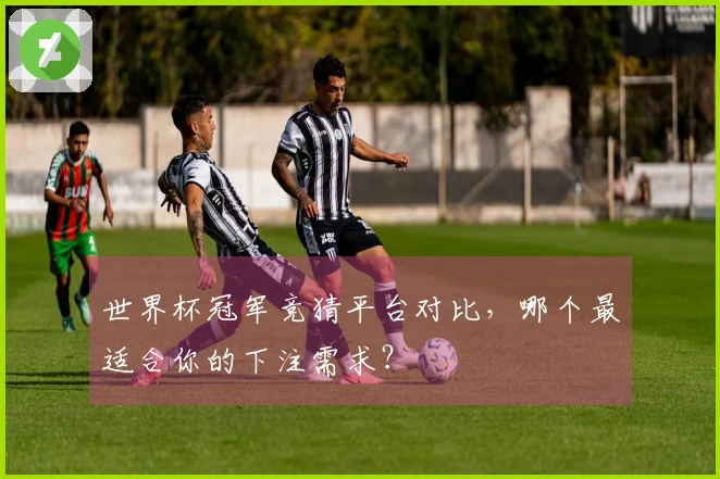 世界杯冠军竞猜平台对比，哪个最适合你的下注需求？