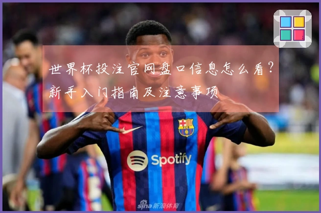 世界杯投注官网盘口信息怎么看？新手入门指南及注意事项