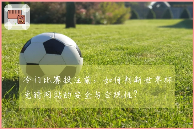 冷门比赛投注前,如何判断世界杯竞猜网站的安全与合规性?