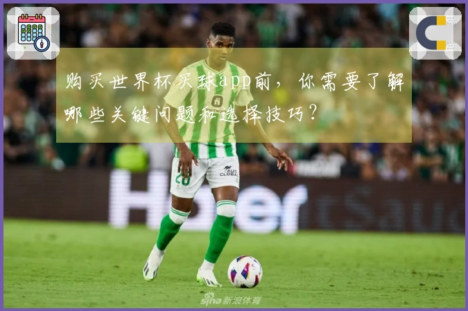 购买世界杯买球app前，你需要了解哪些关键问题和选择技巧？