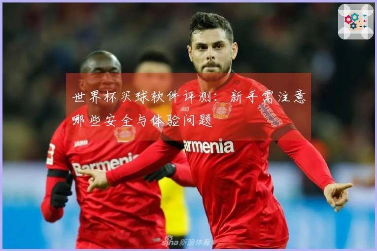 世界杯买球软件评测:新手需注意哪些安全与体验问题