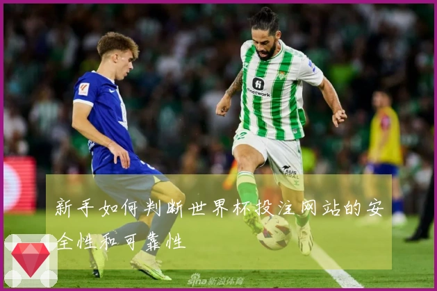 新手如何判断世界杯投注网站的安全性和可靠性