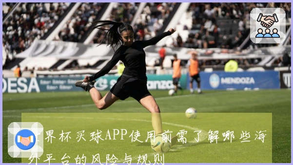 世界杯买球APP使用前需了解哪些海外平台的风险与规则