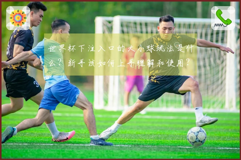 世界杯下注入口的大小球玩法是什么?新手该如何上手理解和使用?