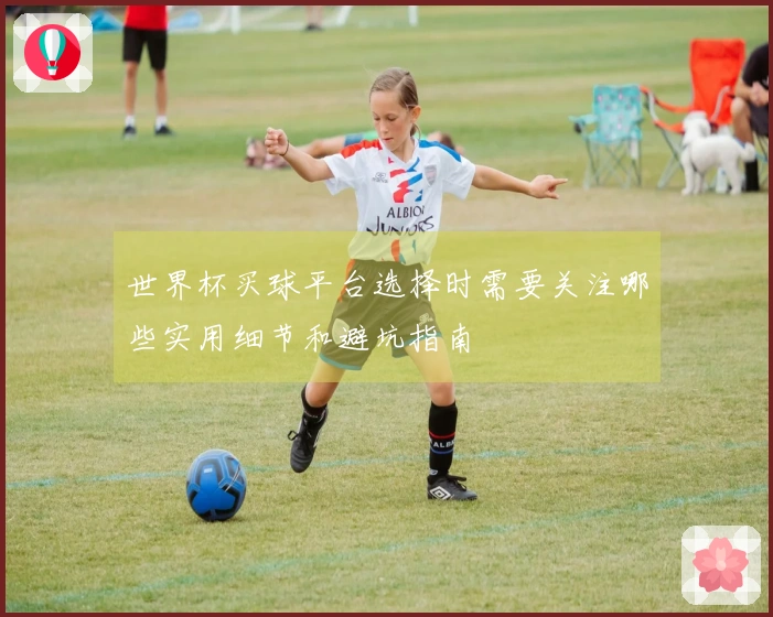 世界杯买球平台选择时需要关注哪些实用细节和避坑指南