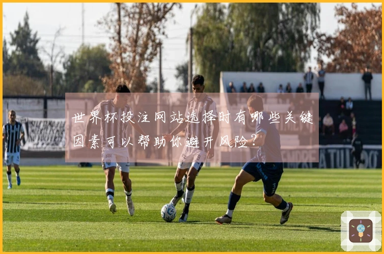 世界杯投注网站选择时有哪些关键因素可以帮助你避开风险？
