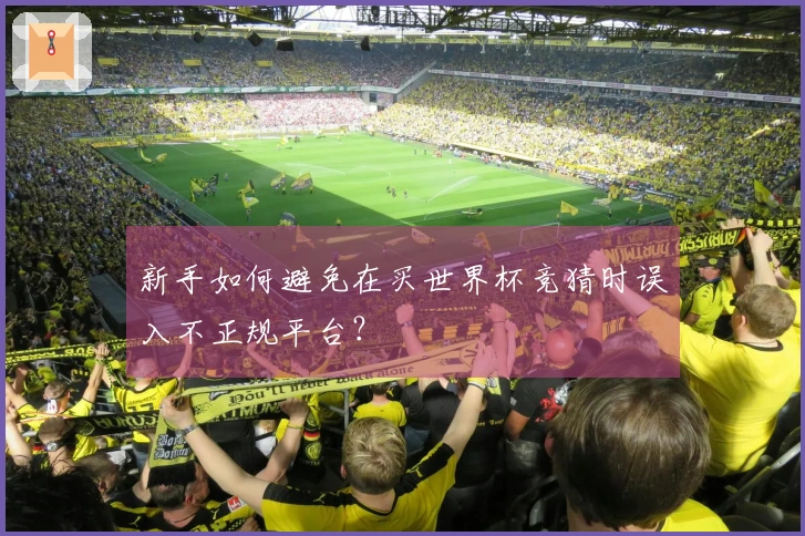 新手如何避免在买世界杯竞猜时误入不正规平台？