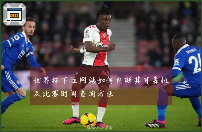 世界杯下注网站如何判断其可靠性及比赛时间查询方法