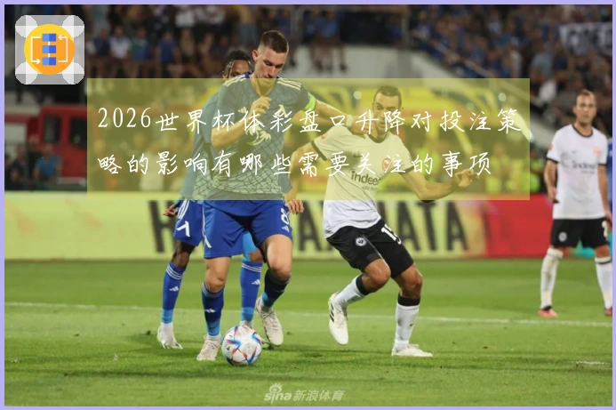 2026世界杯体彩盘口升降对投注策略的影响有哪些需要关注的事项