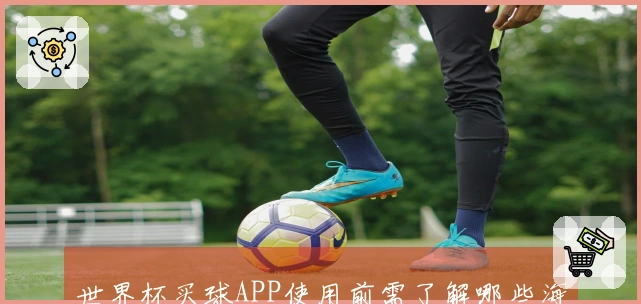 世界杯买球APP使用前需了解哪些海外平台的风险与规则