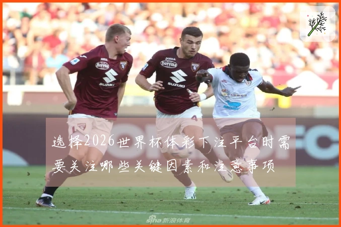 选择2026世界杯体彩下注平台时需要关注哪些关键因素和注意事项