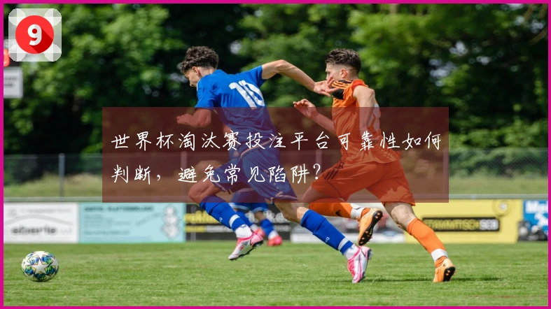 世界杯淘汰赛投注平台可靠性如何判断，避免常见陷阱？