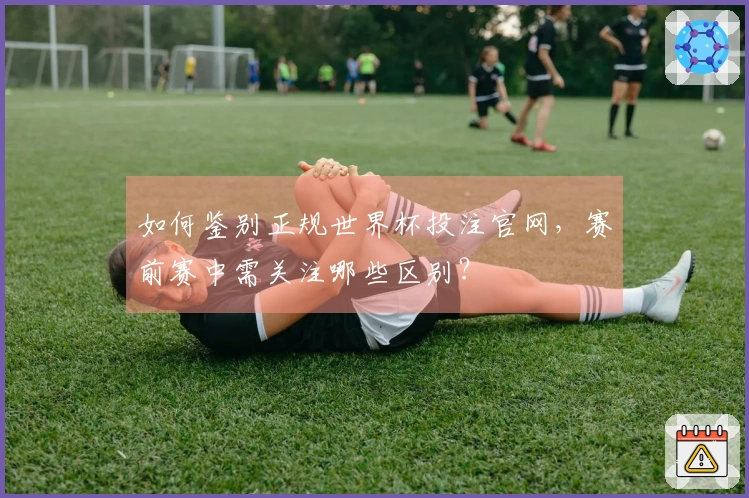 如何鉴别正规世界杯投注官网，赛前赛中需关注哪些区别？