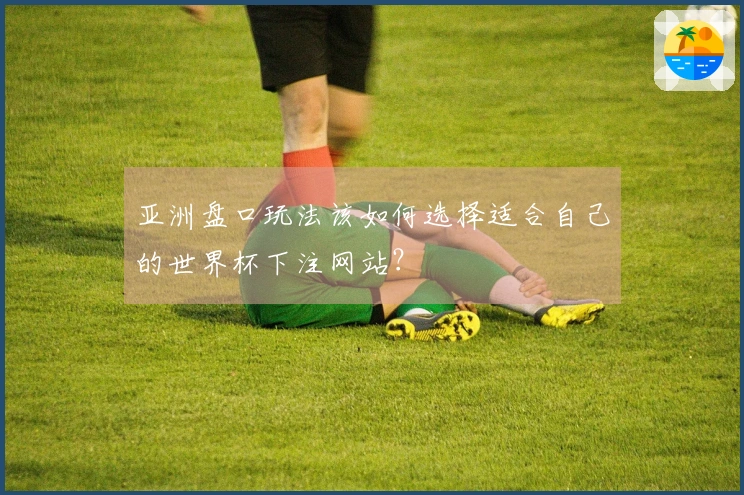 亚洲盘口玩法该如何选择适合自己的世界杯下注网站？