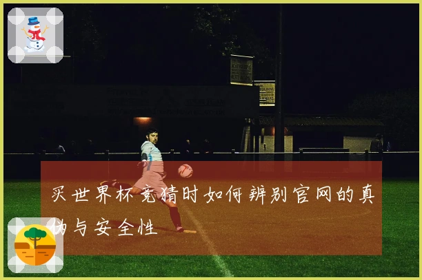 买世界杯竞猜时如何辨别官网的真伪与安全性