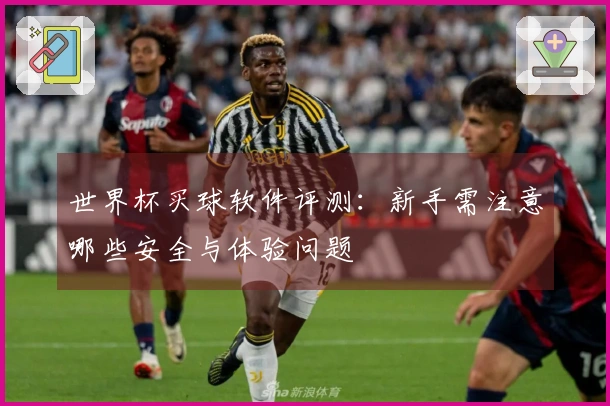 世界杯买球软件评测：新手需注意哪些安全与体验问题