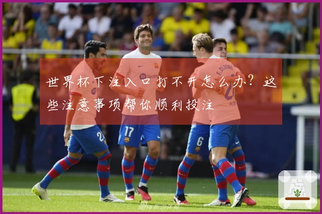 世界杯下注入口打不开怎么办？这些注意事项帮你顺利投注
