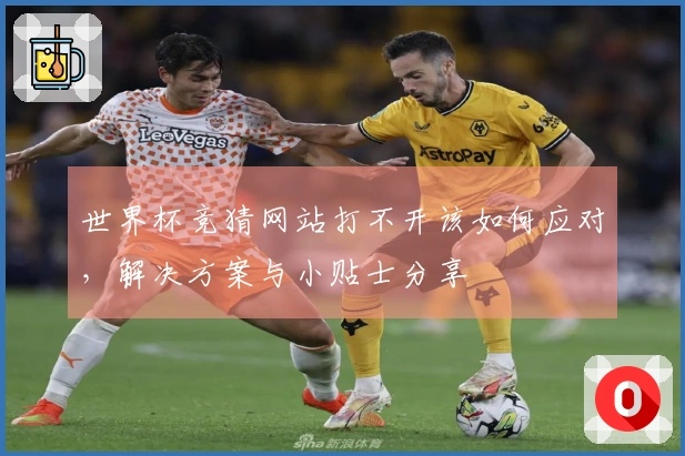 世界杯竞猜网站打不开该如何应对，解决方案与小贴士分享