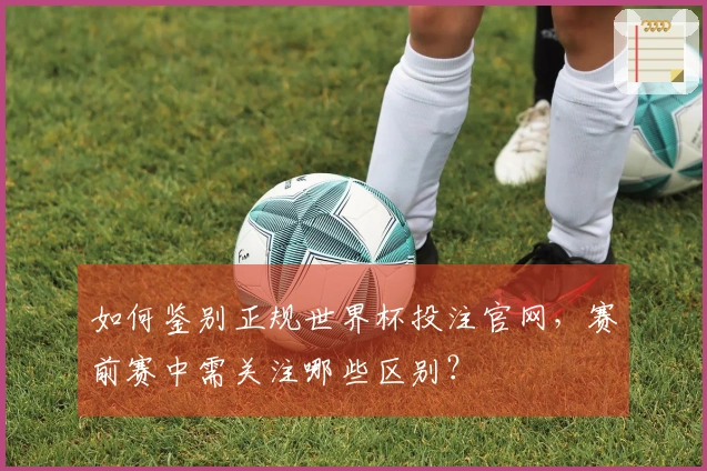 如何鉴别正规世界杯投注官网，赛前赛中需关注哪些区别？