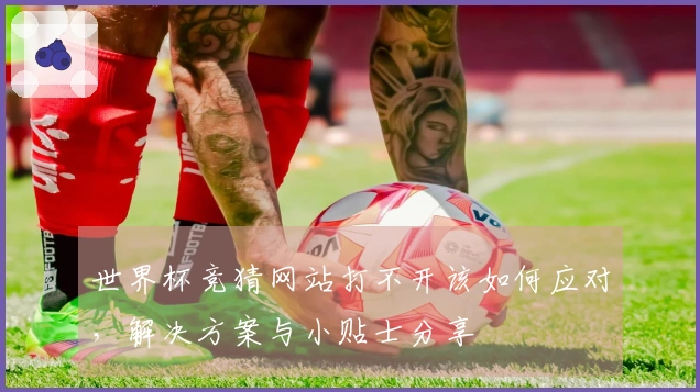 世界杯竞猜网站打不开该如何应对，解决方案与小贴士分享