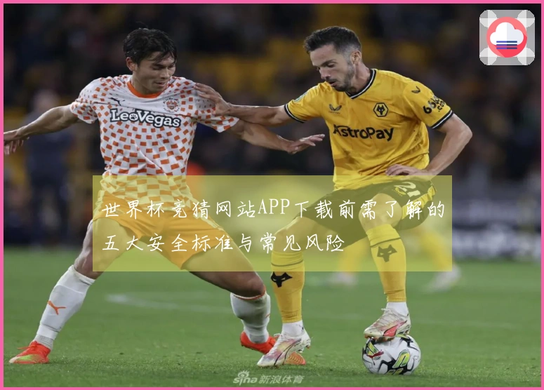 世界杯竞猜网站APP下载前需了解的五大安全标准与常见风险