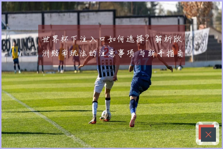 世界杯下注入口如何选择？解析欧洲赔率玩法的注意事项 与新手指南